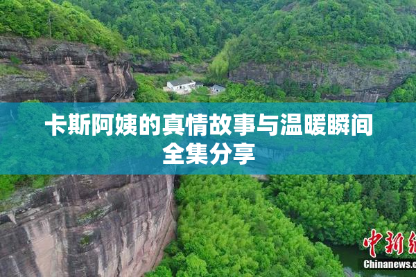 卡斯阿姨的真情故事与温暖瞬间全集分享