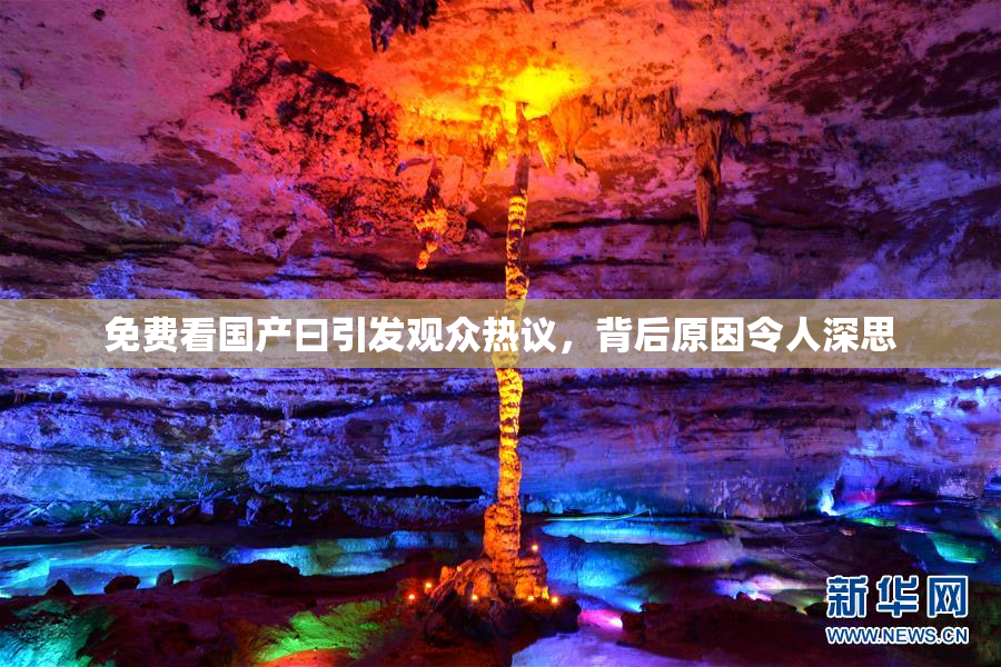 免费看国产曰引发观众热议，背后原因令人深思