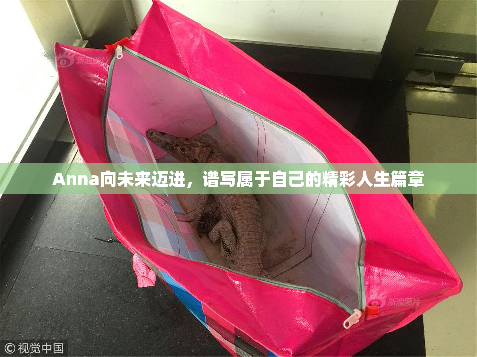 Anna向未来迈进，谱写属于自己的精彩人生篇章