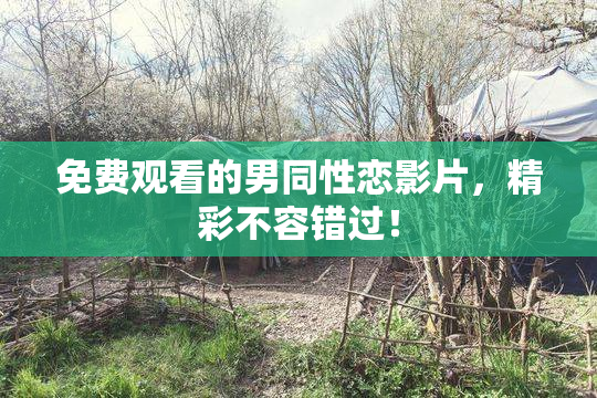 免费观看的男同性恋影片，精彩不容错过！