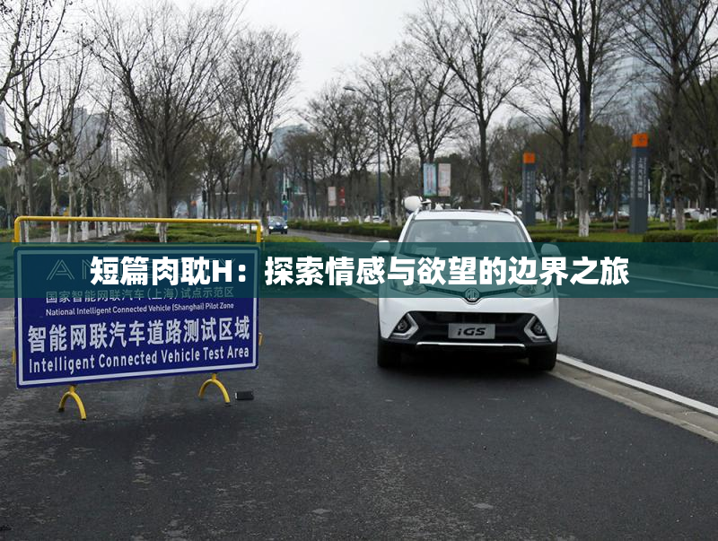 短篇肉耽H：探索情感与欲望的边界之旅