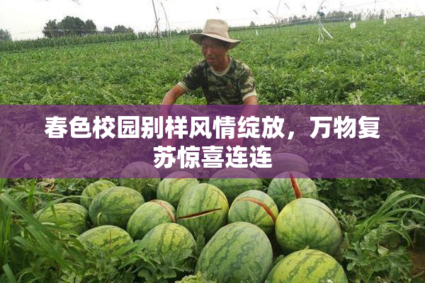 春色校园别样风情绽放，万物复苏惊喜连连