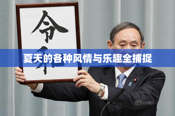 夏天的各种风情与乐趣全捕捉