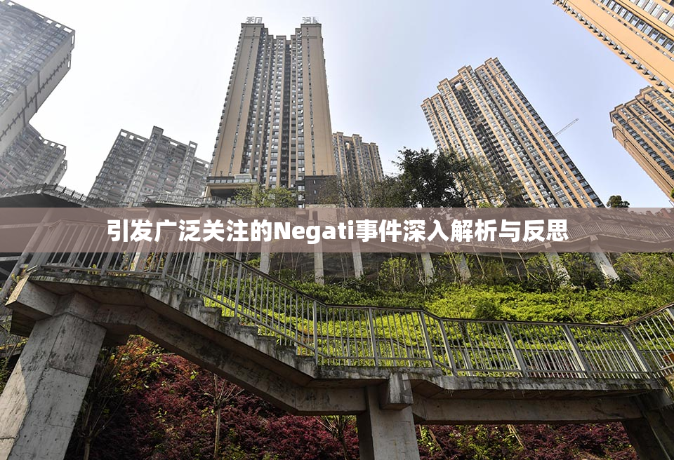 引发广泛关注的Negati事件深入解析与反思