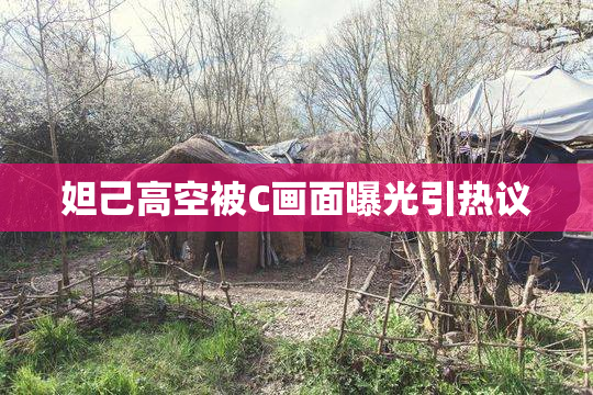 妲己高空被C画面曝光引热议