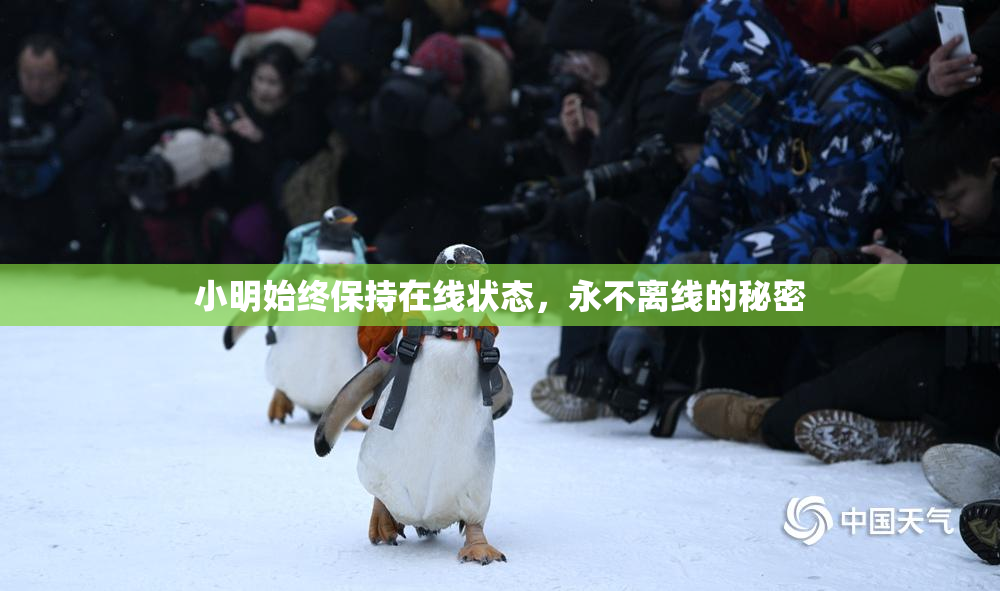 小明始终保持在线状态，永不离线的秘密