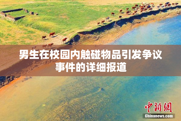 男生在校园内触碰物品引发争议事件的详细报道