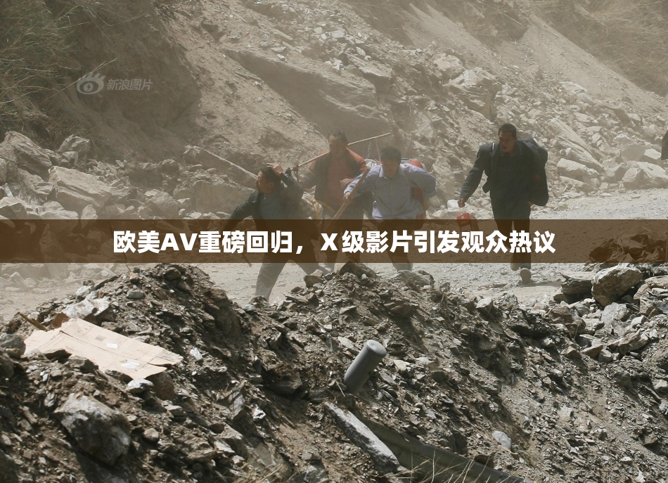 欧美AV重磅回归，Ⅹ级影片引发观众热议