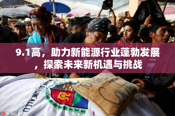 9.1高，助力新能源行业蓬勃发展，探索未来新机遇与挑战