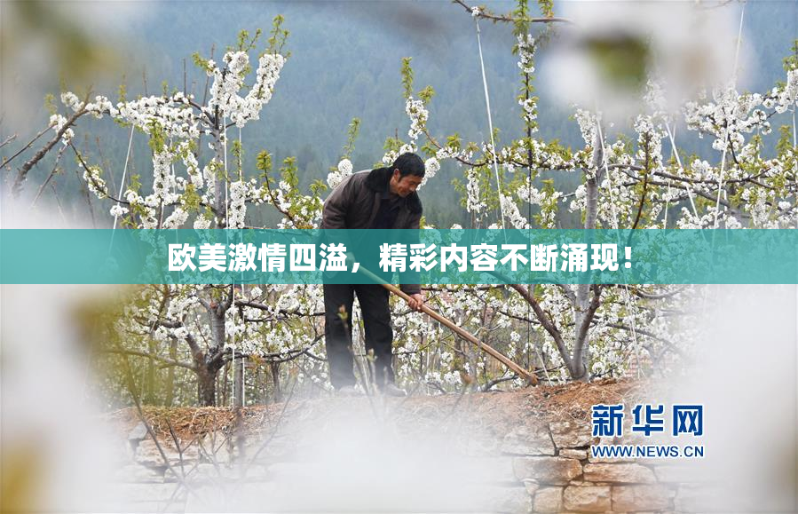 欧美激情四溢，精彩内容不断涌现！