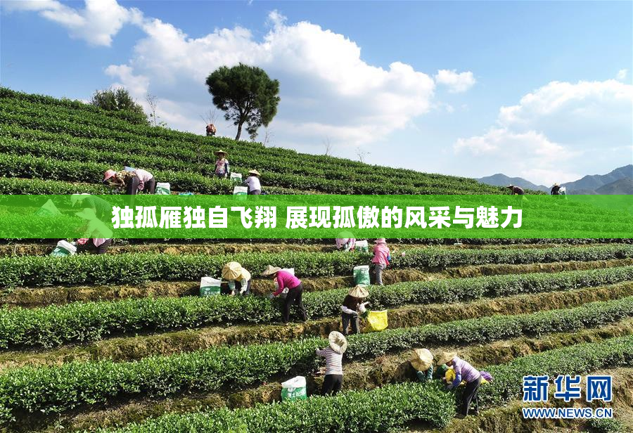 独孤雁独自飞翔 展现孤傲的风采与魅力