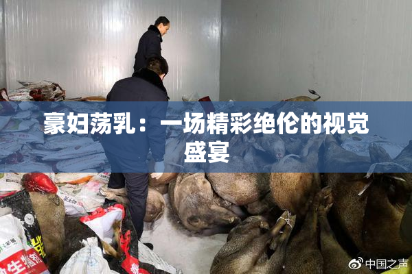 豪妇荡乳：一场精彩绝伦的视觉盛宴