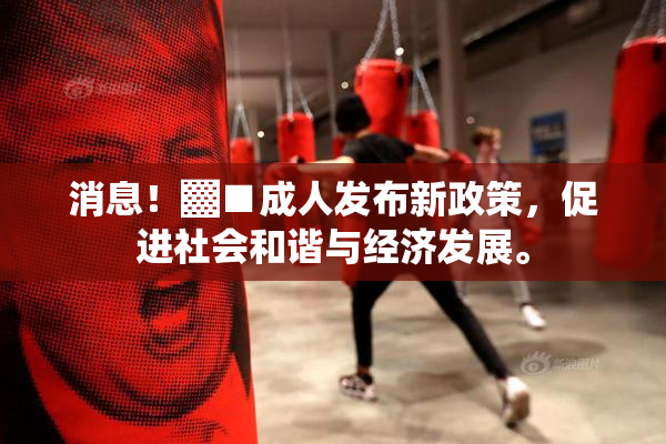 消息！▓■成人发布新政策，促进社会和谐与经济发展。