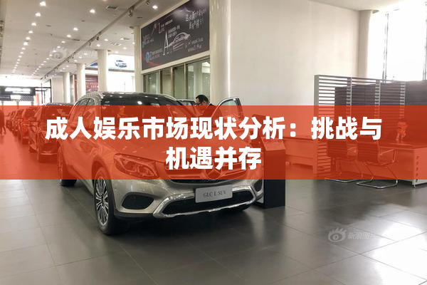 成人娱乐市场现状分析：挑战与机遇并存