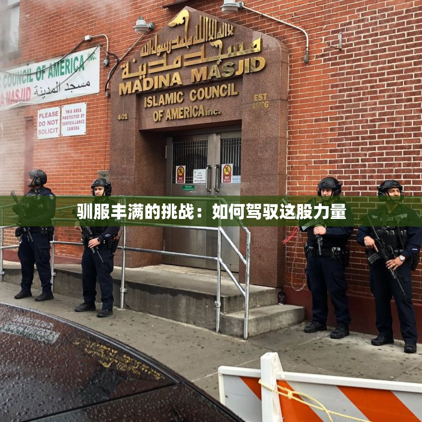 驯服丰满的挑战：如何驾驭这股力量
