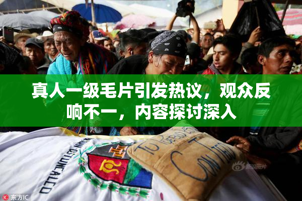 真人一级毛片引发热议，观众反响不一，内容探讨深入