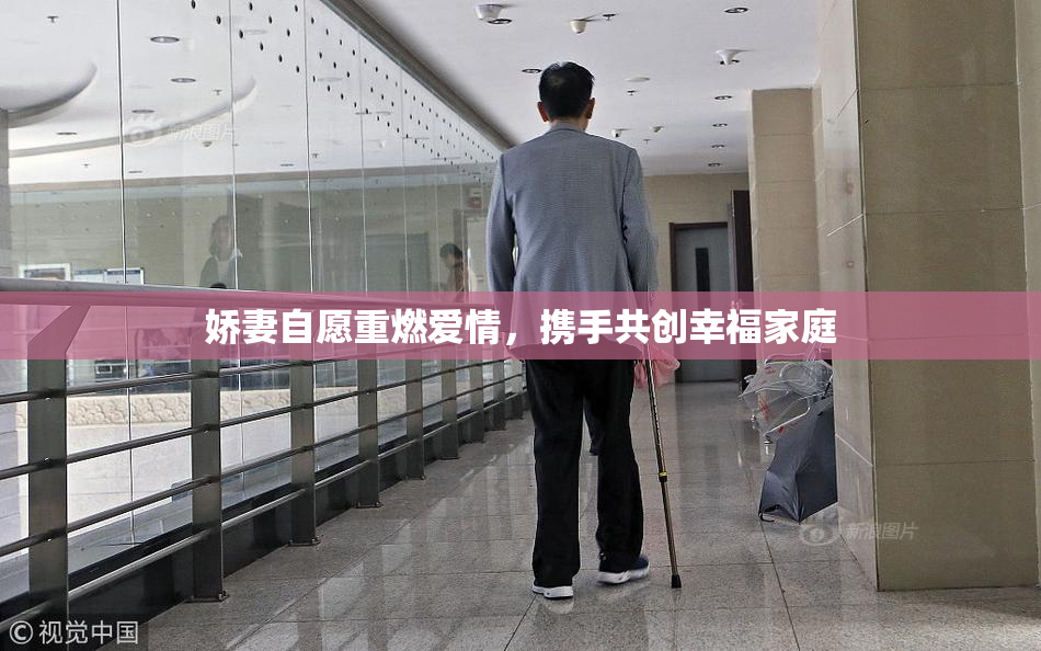 娇妻自愿重燃爱情，携手共创幸福家庭