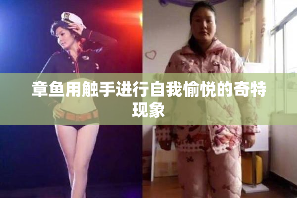章鱼用触手进行自我愉悦的奇特现象