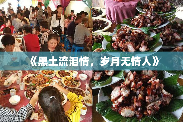 《黑土流泪情，岁月无情人》