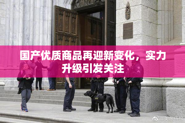 国产优质商品再迎新变化，实力升级引发关注