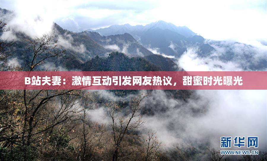 B站夫妻：激情互动引发网友热议，甜蜜时光曝光