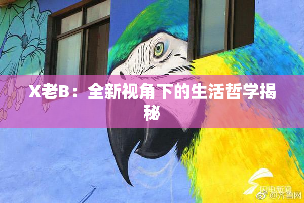 X老B：全新视角下的生活哲学揭秘