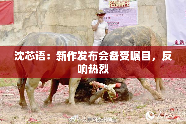 沈芯语：新作发布会备受瞩目，反响热烈
