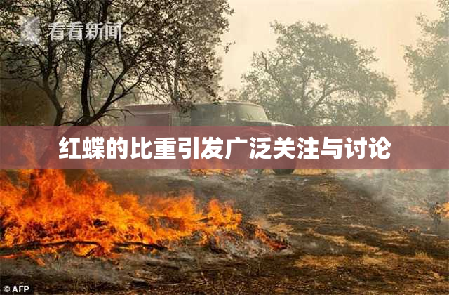 红蝶的比重引发广泛关注与讨论