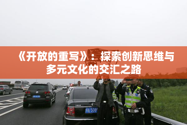 《开放的重写》：探索创新思维与多元文化的交汇之路