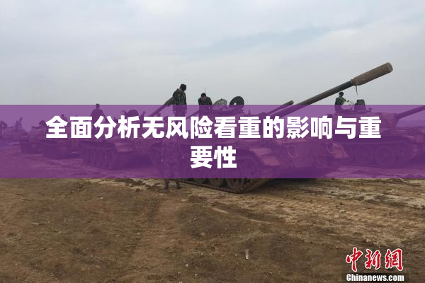 全面分析无风险看重的影响与重要性