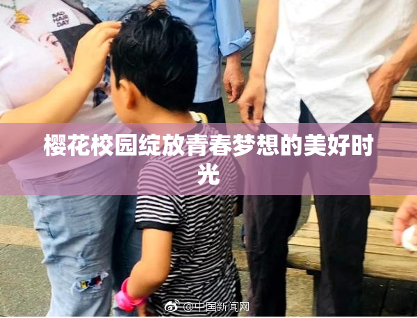 樱花校园绽放青春梦想的美好时光