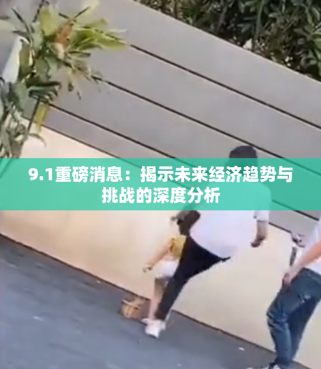 9.1重磅消息：揭示未来经济趋势与挑战的深度分析