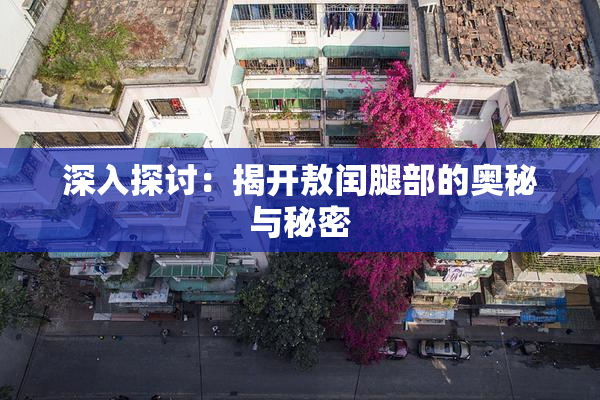 深入探讨：揭开敖闰腿部的奥秘与秘密