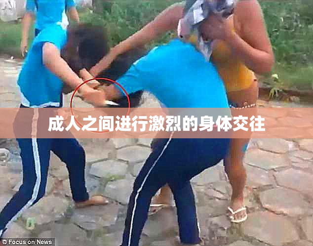 成人之间进行激烈的身体交往