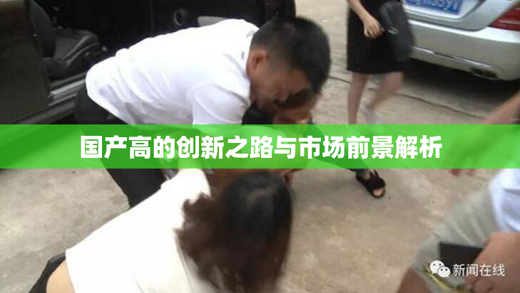 国产高的创新之路与市场前景解析