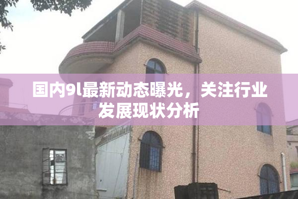 国内9l最新动态曝光，关注行业发展现状分析