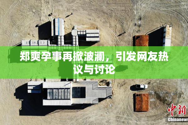 郑爽孕事再掀波澜，引发网友热议与讨论