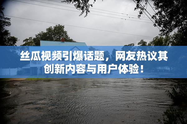 丝瓜视频引爆话题，网友热议其创新内容与用户体验！