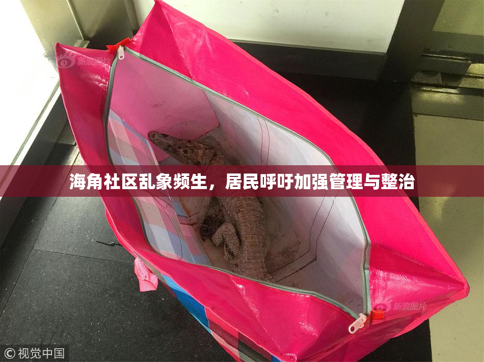 海角社区乱象频生，居民呼吁加强管理与整治