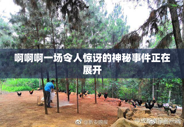 啊啊啊一场令人惊讶的神秘事件正在展开