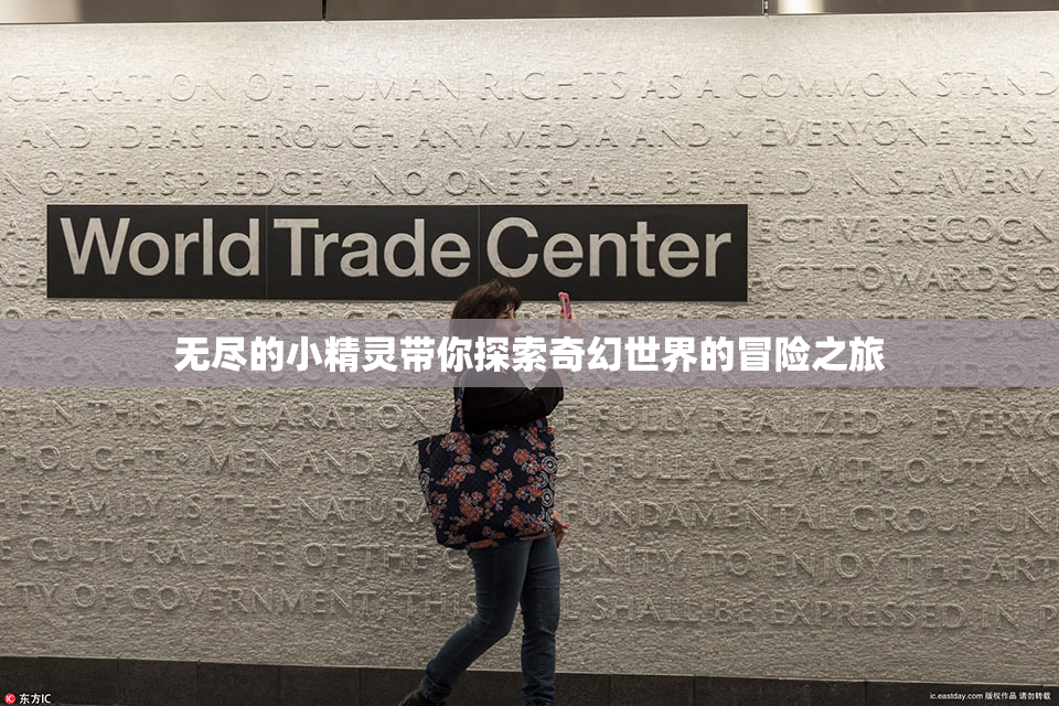 无尽的小精灵带你探索奇幻世界的冒险之旅