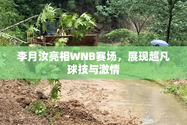 李月汝亮相WNB赛场，展现超凡球技与激情