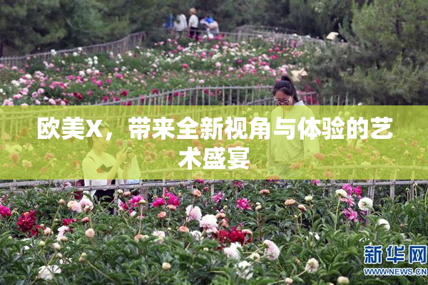 欧美X，带来全新视角与体验的艺术盛宴