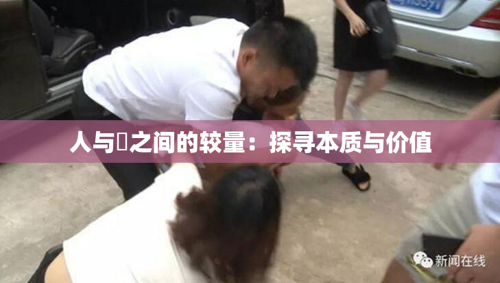 人与嘼之间的较量：探寻本质与价值
