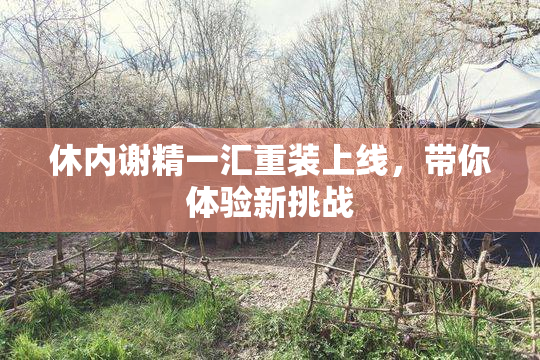 休内谢精一汇重装上线，带你体验新挑战