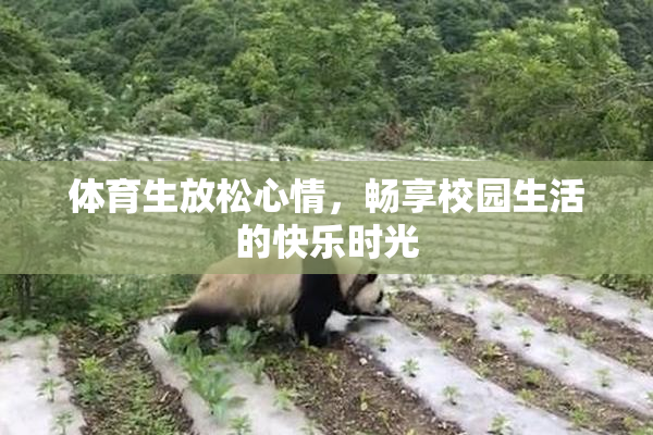 体育生放松心情，畅享校园生活的快乐时光