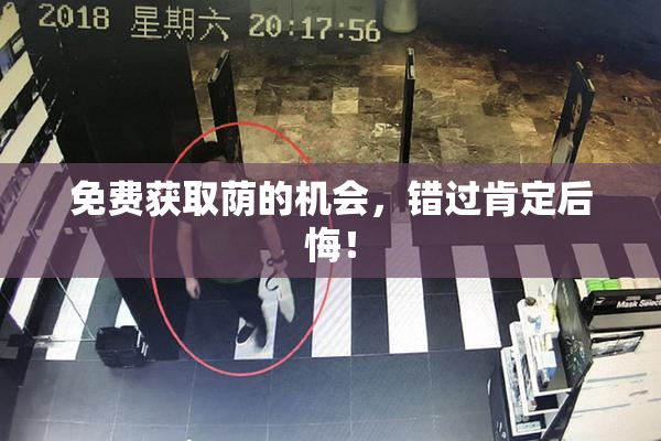 免费获取荫的机会，错过肯定后悔！
