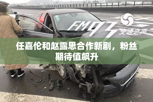任嘉伦和赵露思合作新剧，粉丝期待值飙升
