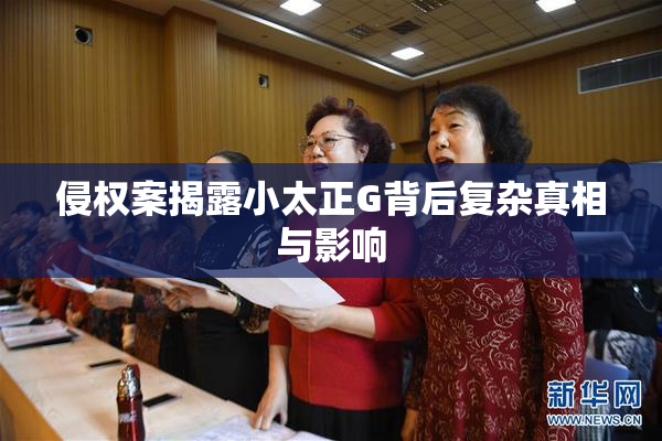 侵权案揭露小太正G背后复杂真相与影响