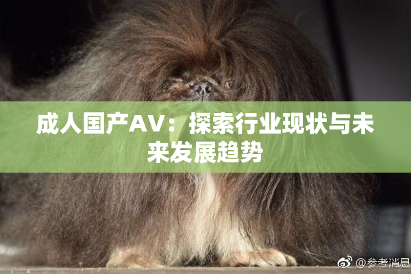 成人国产AV：探索行业现状与未来发展趋势